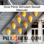 Gros Pénis Stimulant Sexuel Masculin cialis1